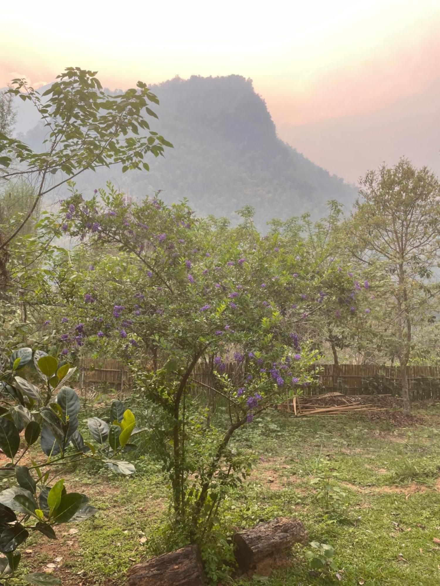 Chiang Dao Roundhouses Exterior photo