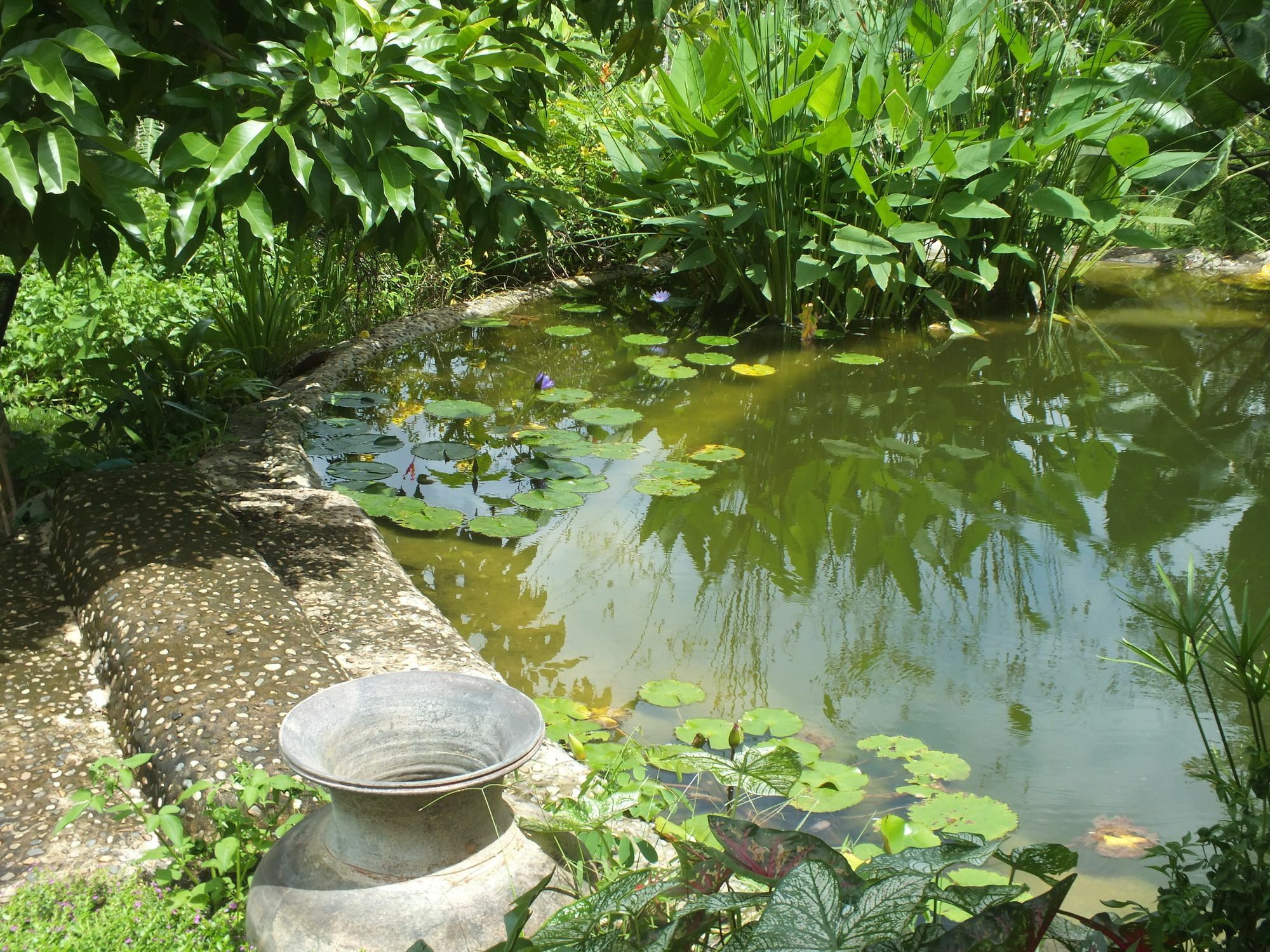 Chiang Dao Roundhouses Exterior photo